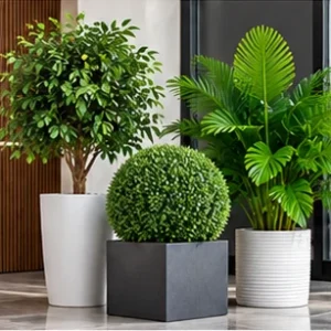 Artificial PLants