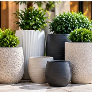 Luxury Plants Pots and Planter
