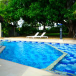 Swimming pool with topical tree background