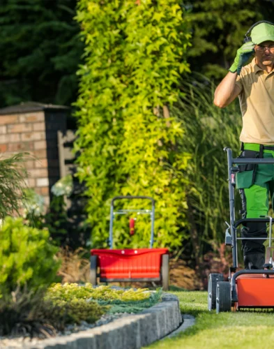 Garden Maintenance Service Dubai