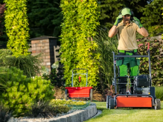 Garden Maintenance Service Dubai