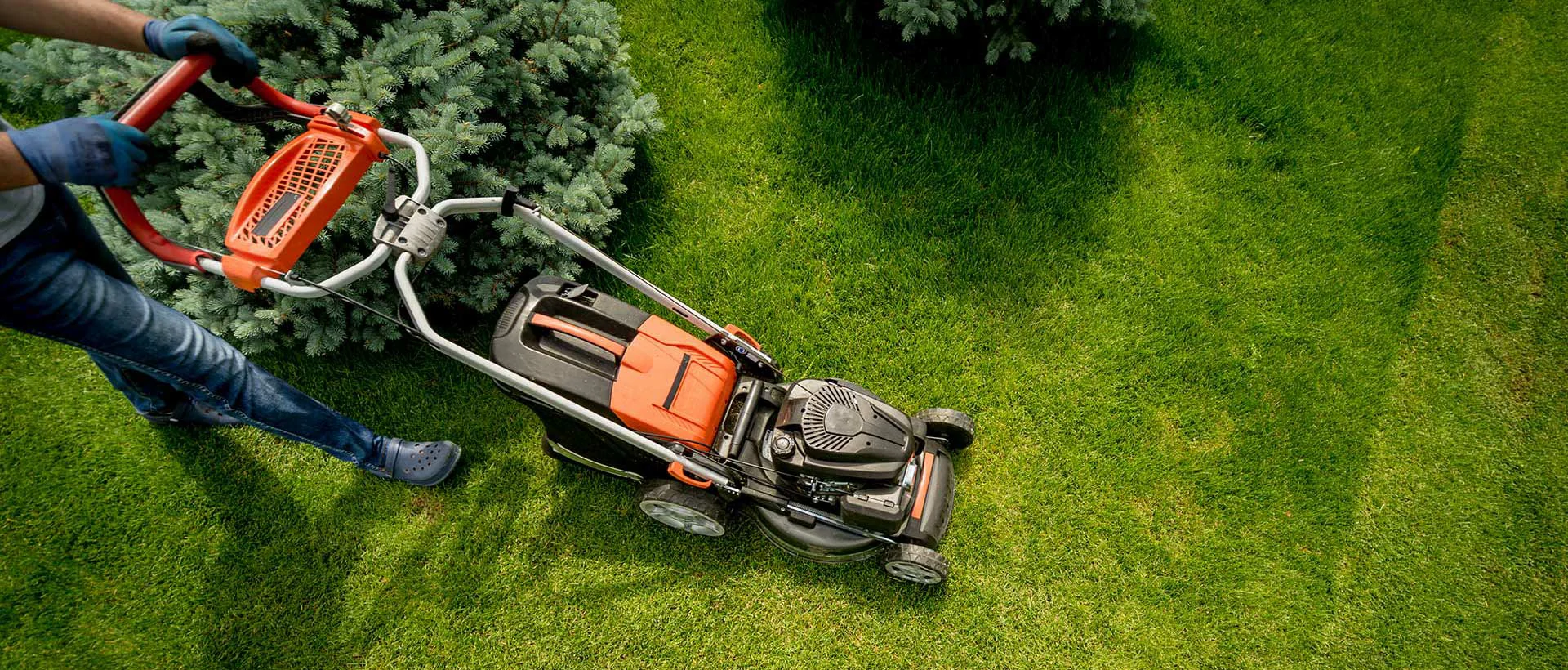 Grass Cutting Service in Dubai