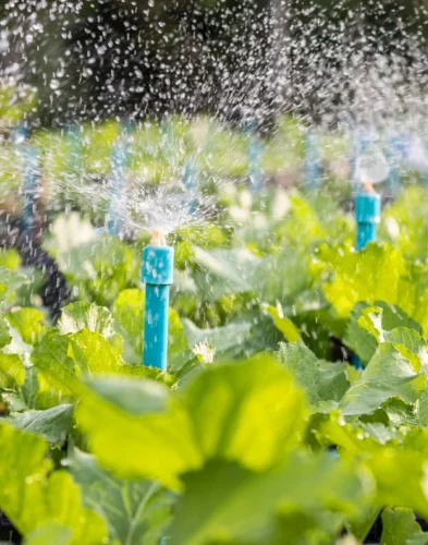 Irrigation System Service