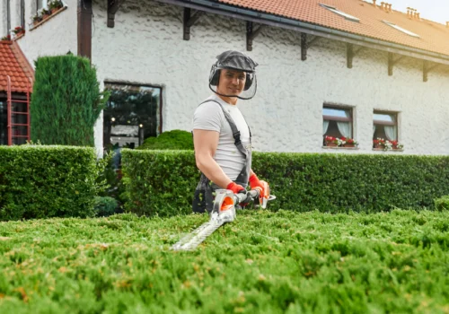 Lawn Landscaping services